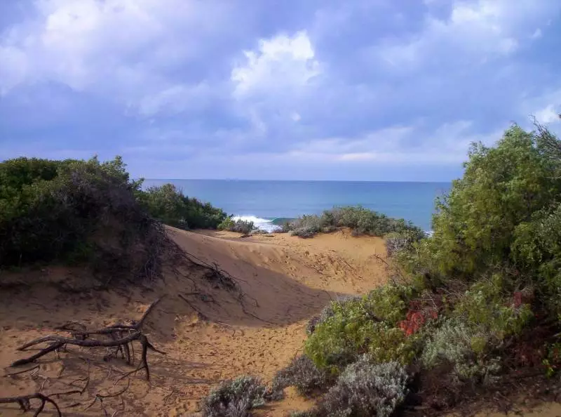 Parco naturale di Rimigliano